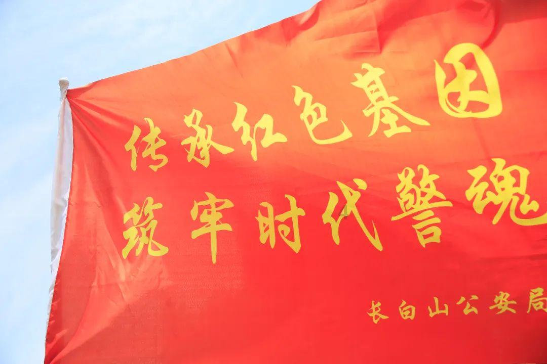 黑道圣徒4